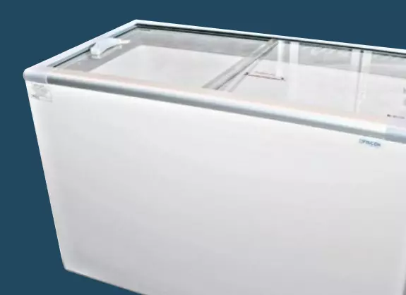Freezer Horizontal